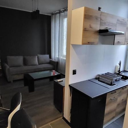 شقة Apartament Pod Wieza Piotrków Trybunalski المظهر الخارجي الصورة